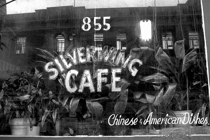 Silverwing Cafe on Kearny Street, old International Hotel can be seen in the window reflection, 855 Kearny Street, Chinatown, San Francisco, 1978