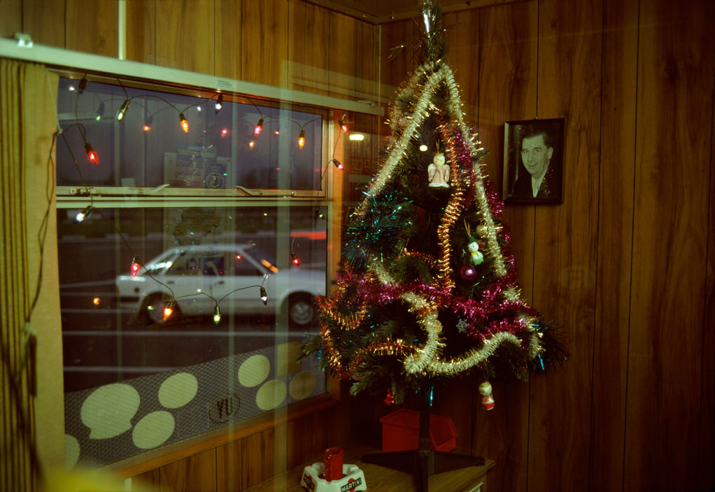 French border, West Flander region, 1988.