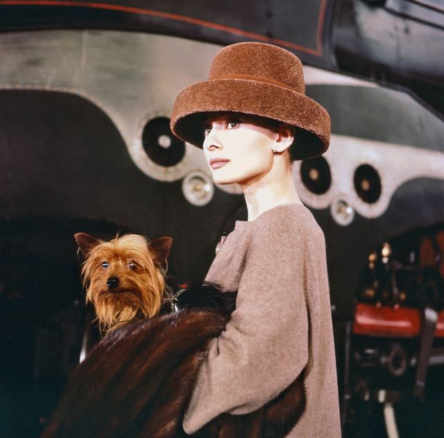 Audrey Hepburn carrying her dog Mr. Famous while wearing a fur hat on the set of 'Funny Face', 1956.