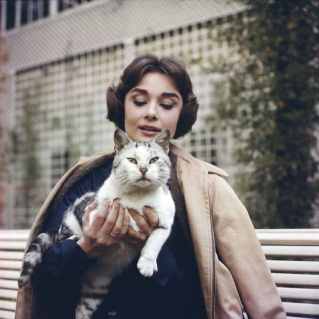 Audrey Hepburn posing with a cat in Paris, 1957.