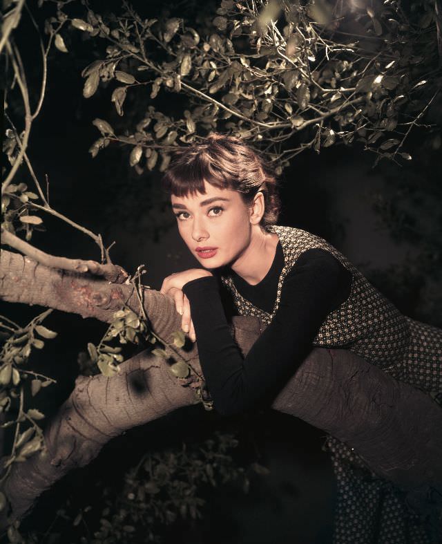 Audrey Hepburn leaning on a tree in a promotional photo for 'Sabrina,' 1954.