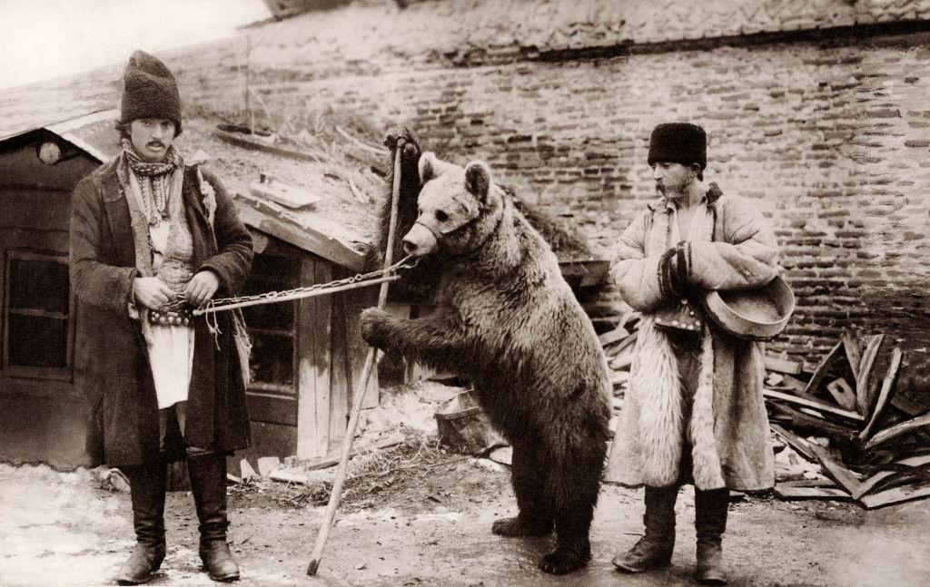 Two men in native dress with a trained bear on a lead with a muzzle, Bucharest, 1910.