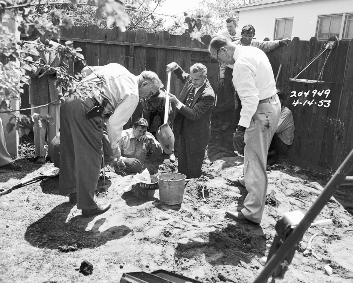 Buried body parts, San Fernando Valley, 14 April.James Ellroy: “There were 81 murders in LA in 1953. This was the headline murder of the year – the ‘croquet mallet slayer’. Ruth Hilda Fredericks was tired of her husband Richard.