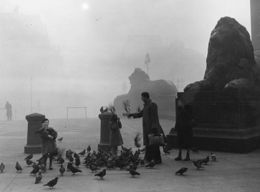 A family feeding the famous pigeons on a foggy morning in London's Trafalgar Square, in front of two of Landseer's lions, December 1952.