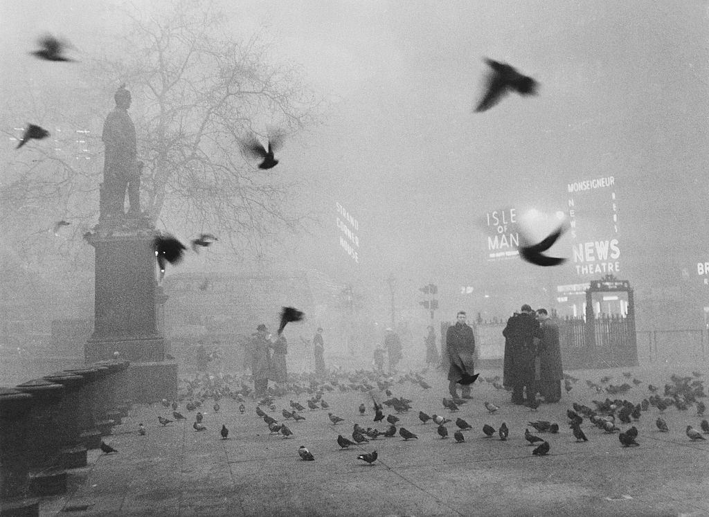 Pigeons swarm pedestrians as a thick fog shrouds Trafalgar Square and the rest of London.