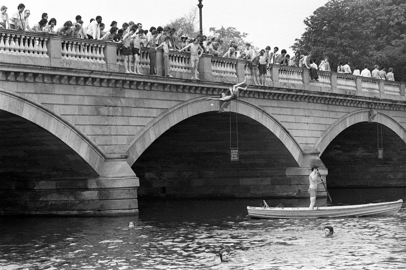Some enterprising bathers use the bridge at the Serpentine as a diving platform in a bid to keep cool
