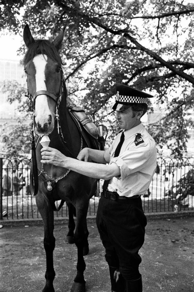 A police man offering an ice cream to his horse, 8th May 1976.