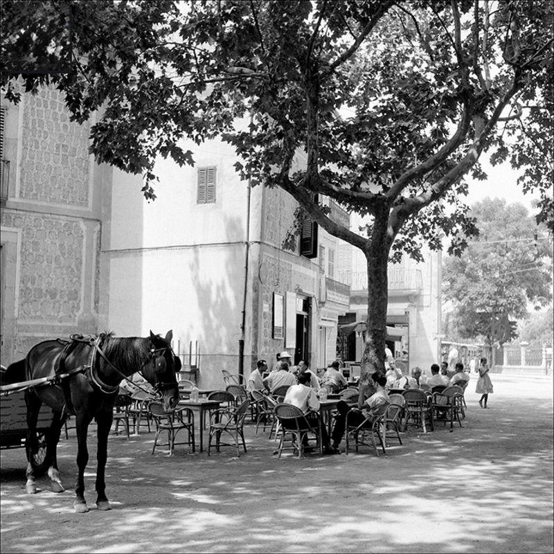 People sitting on a terrace in Sóller, 1956