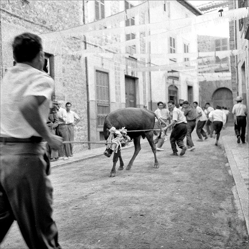 Men and bull in a street in Fornalutx, 1957