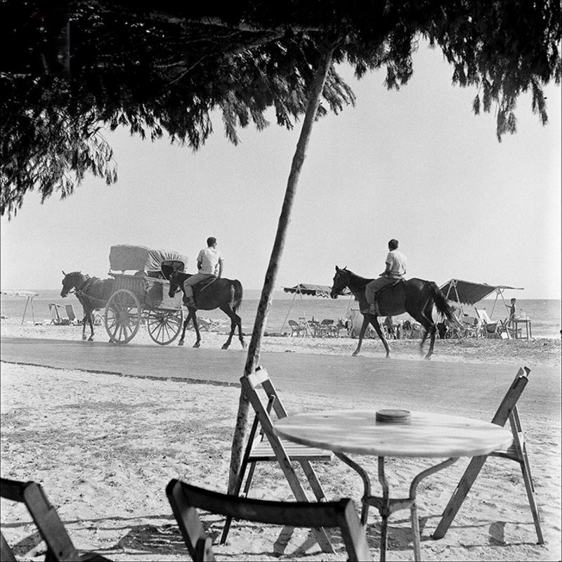Horses passing along road at beach near Palma, 1956