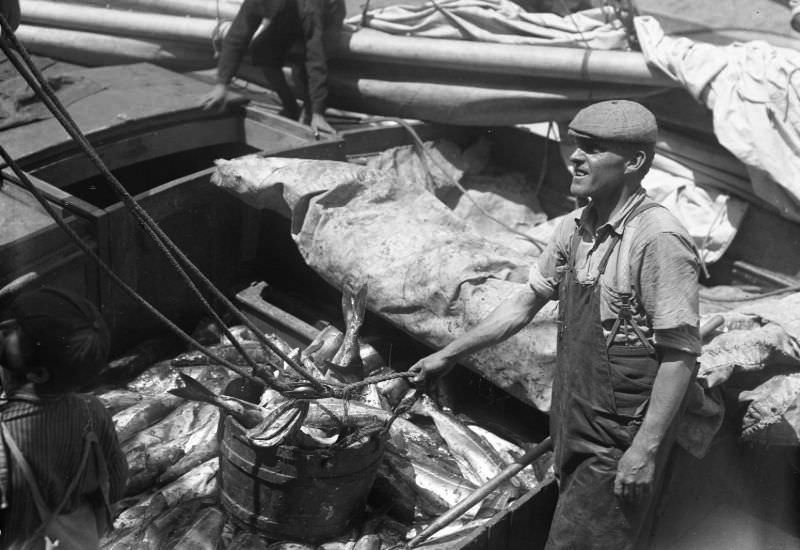 New Bedford as a fishing port, 1907