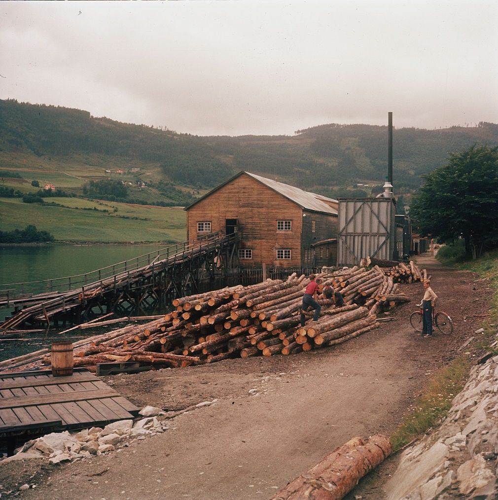 A Norwegian lumberyard in the province of Sogn, 1950.