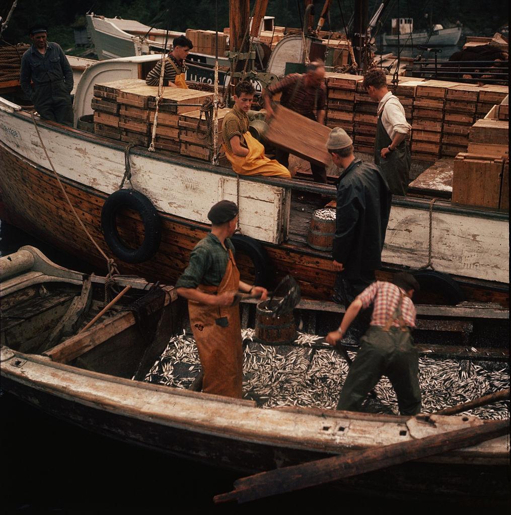 Norwegian Fishermen, 1959.