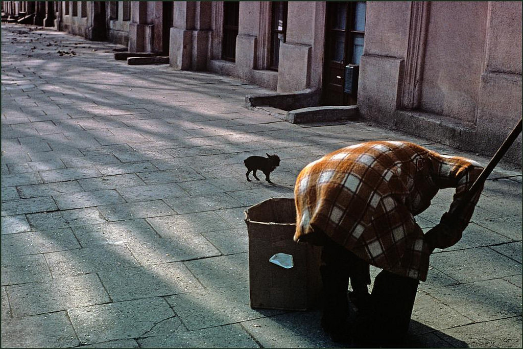 A lady cleaner with her tiny dog working on a wintry street.