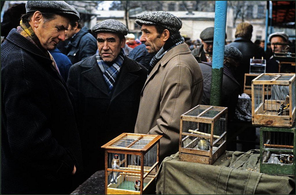 Men wearing caps and winter clothes discuss the merits of a bird at the pet market.