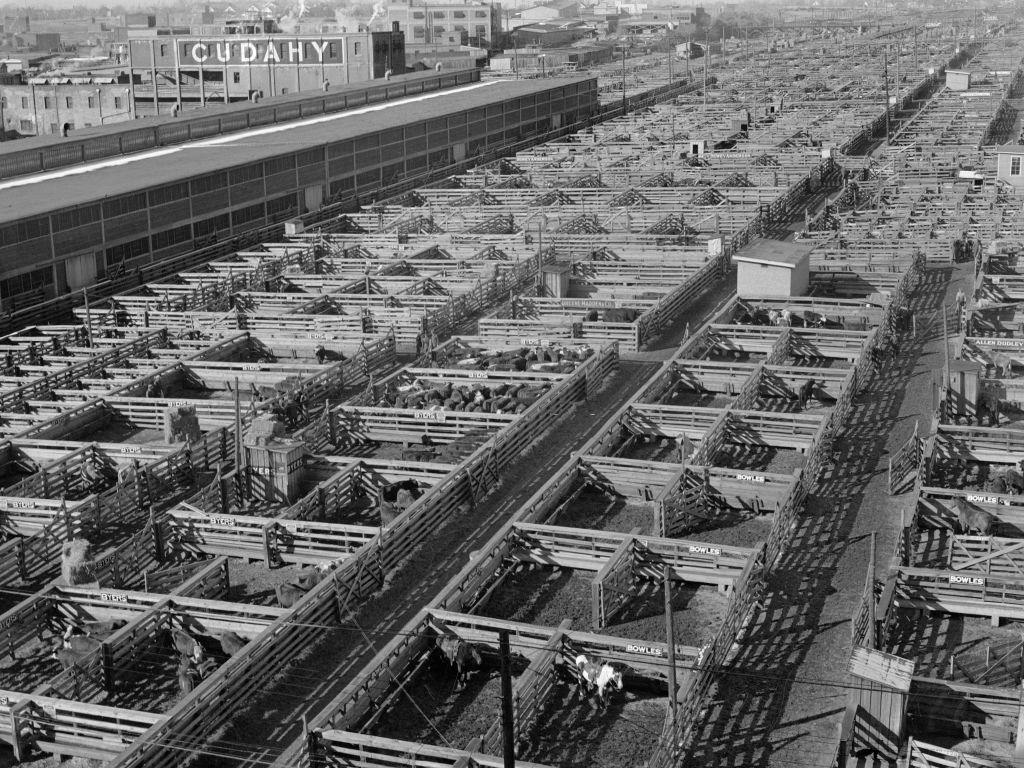 Aerial View of Sotckyards, Omaha, 1920s.