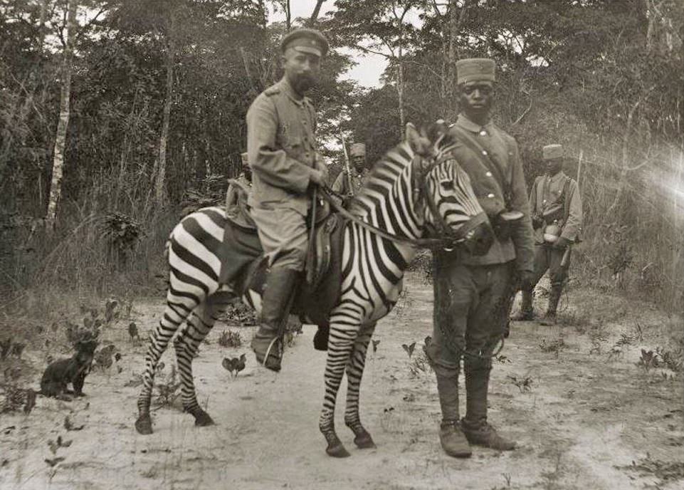 A German soldier is riding a zebra in Zanzibar, ca. 1890s.
