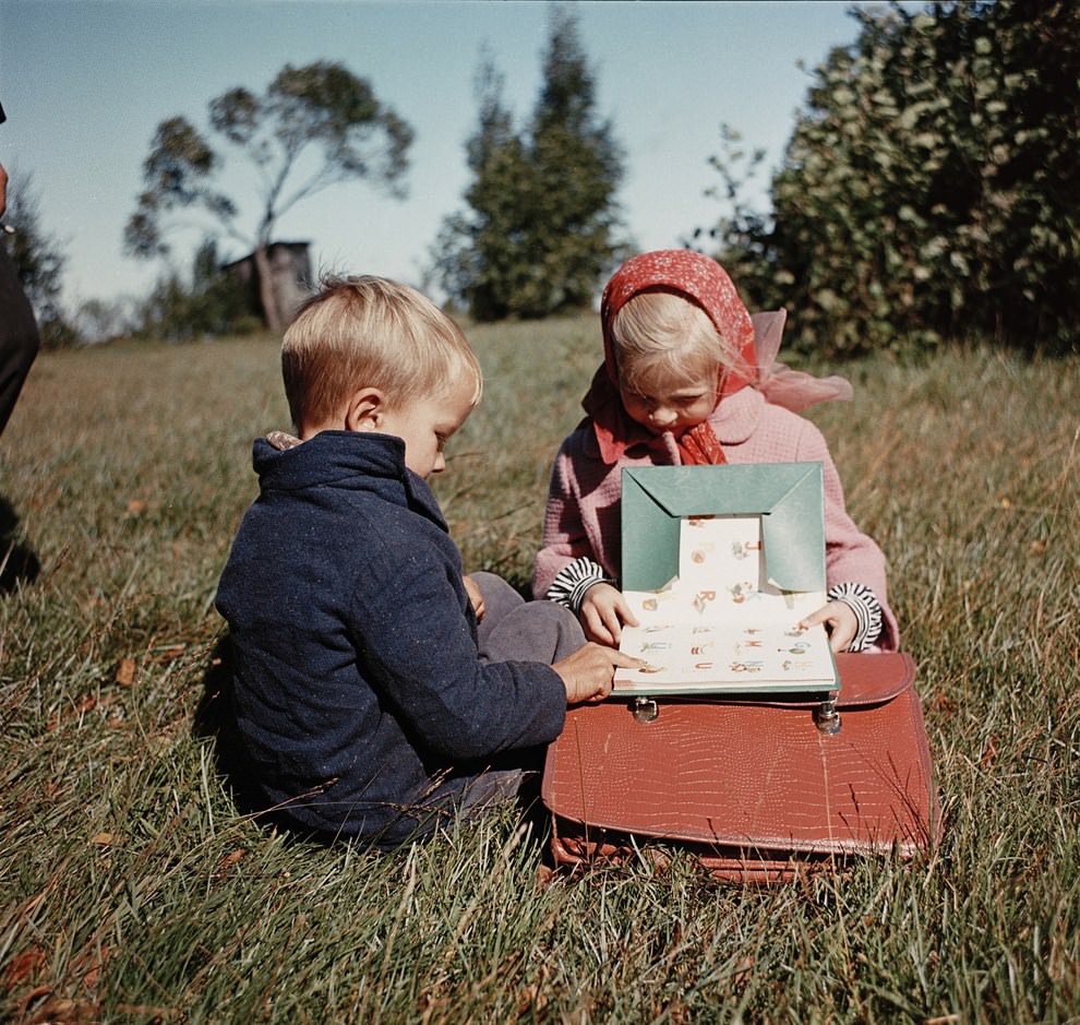 Baltic states, 1950s