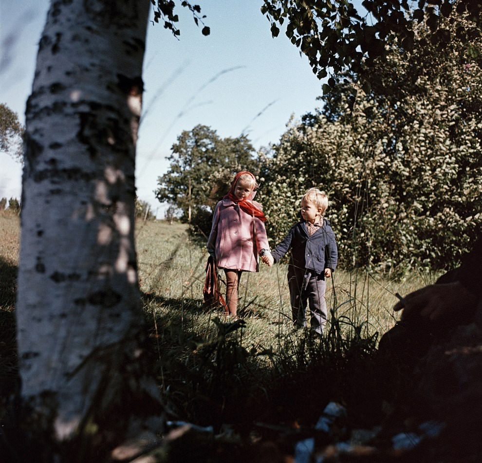 Baltic states, 1950s