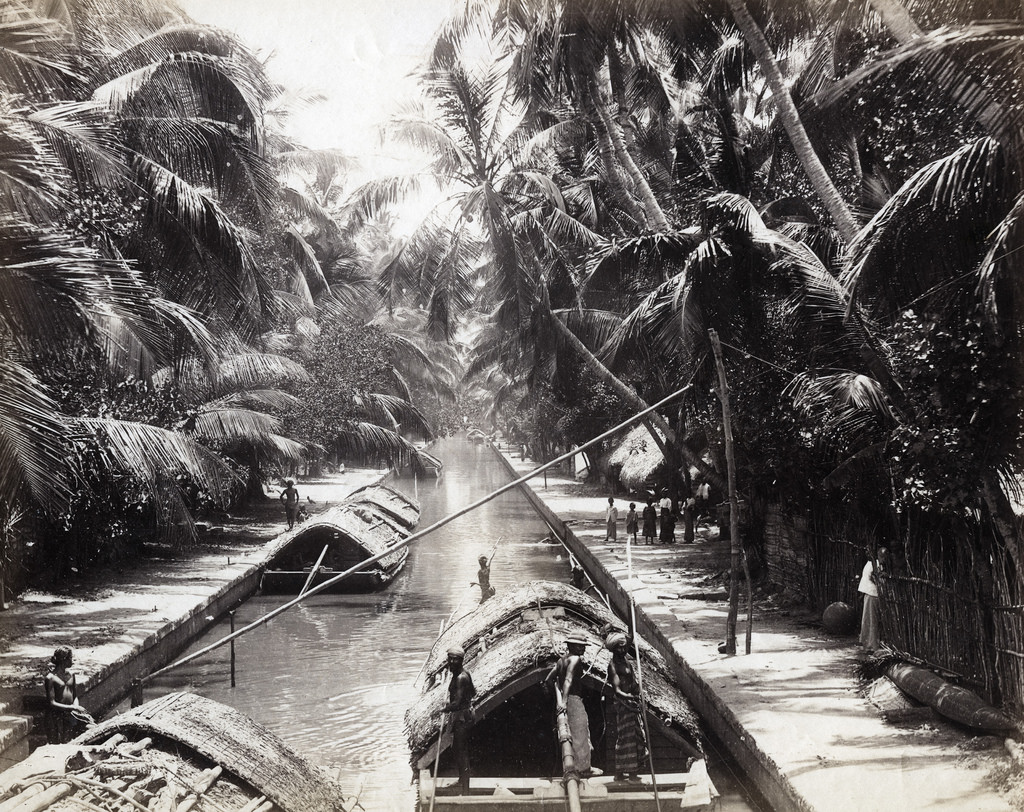 Negumbo Canal, Sri Lanka, 1880s