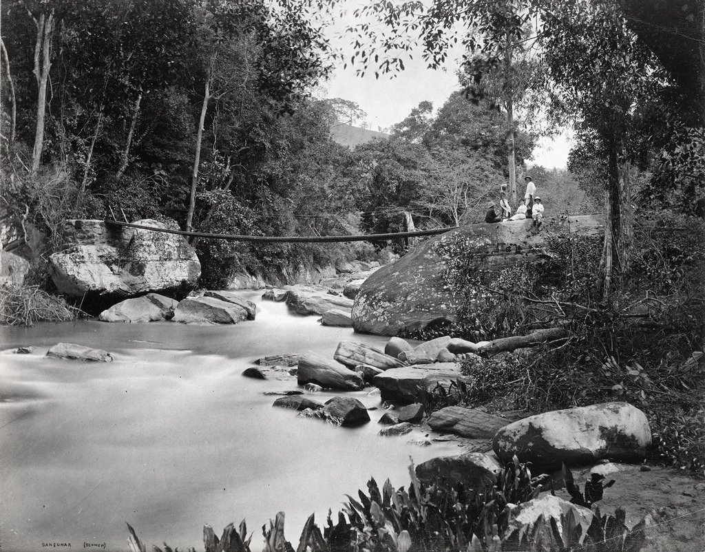 Sanquhar estate, Pussellawa, Sri Lanka, 1880s