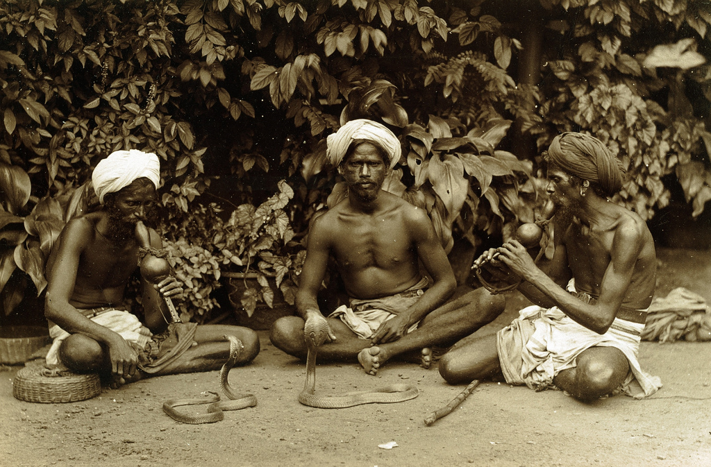 Snake charmers, Sri Lanka, 1880s