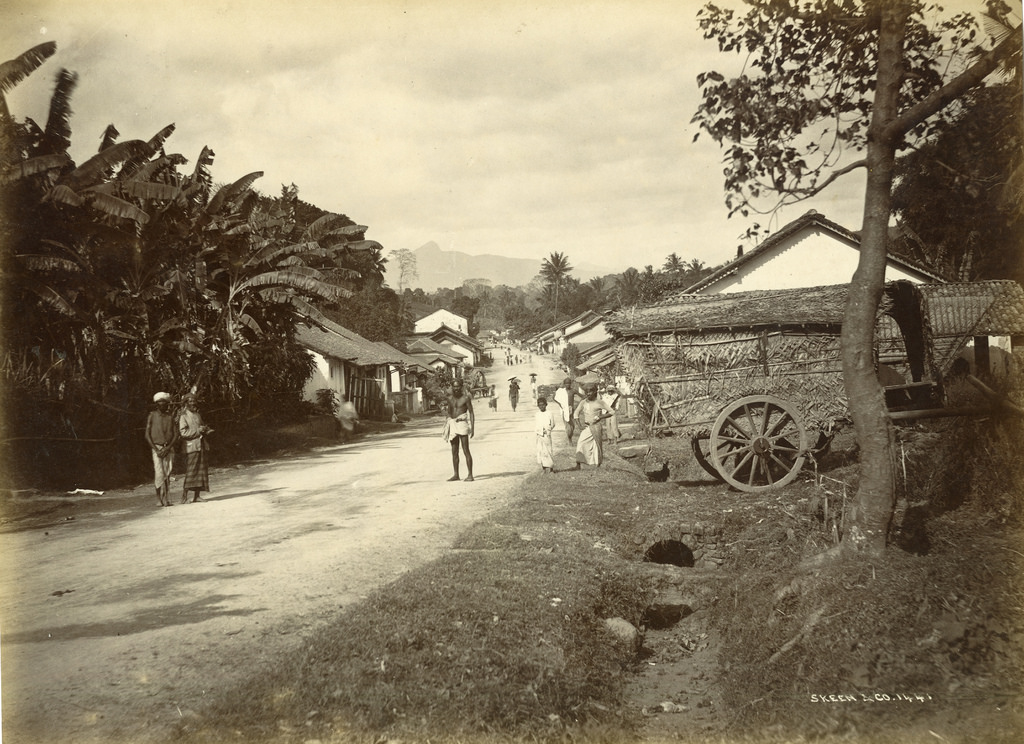 Village, Colombo, Sri Lanka, 1880s