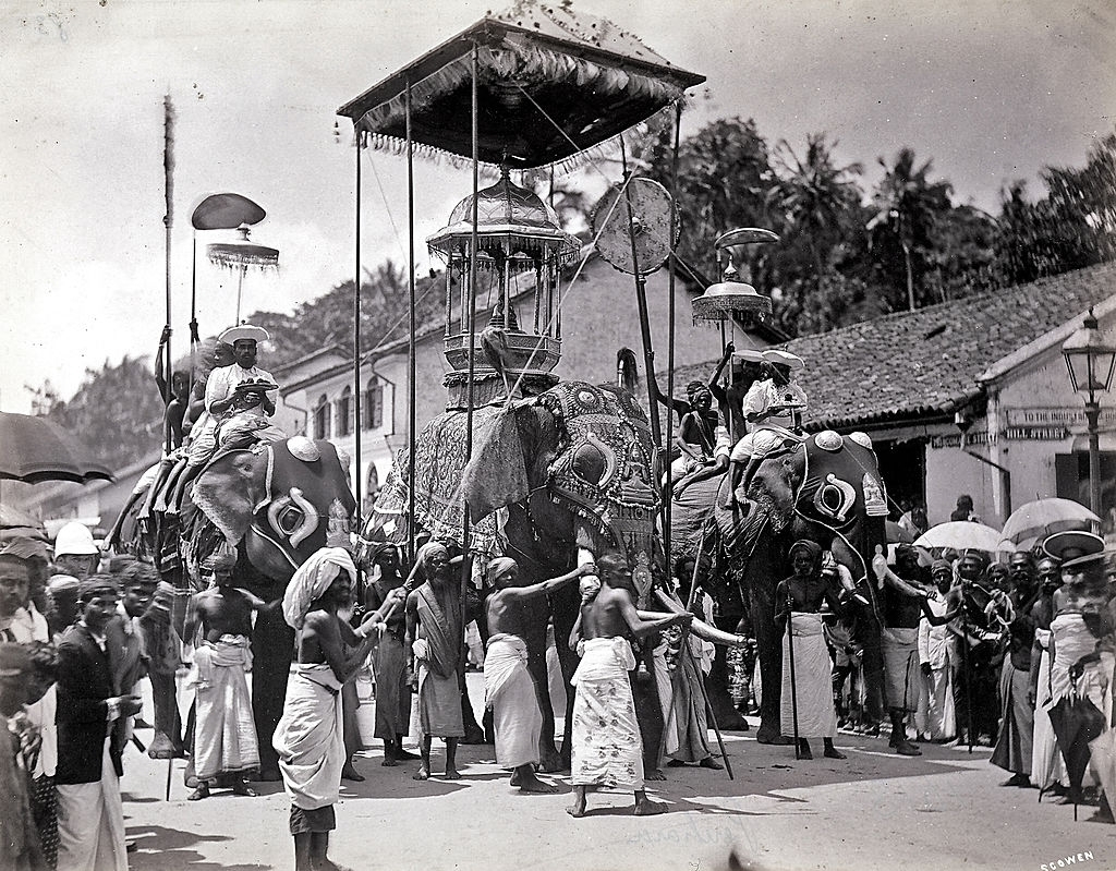Indian religious festival with a parade of elephants at Peschava in Ceylon (Sri Lanka), 1880s.