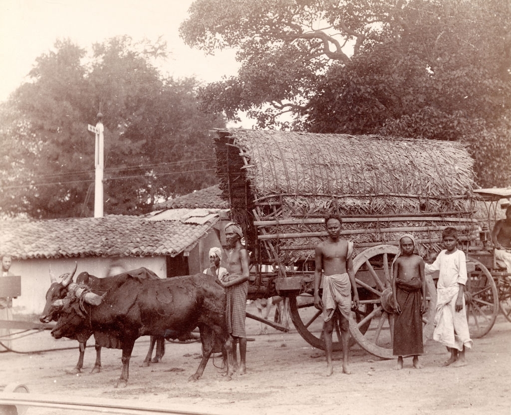Family with bullock cart in Ceylon, 1800s.