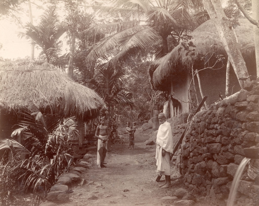 Native quarters in Colombo, Sri Lanka, 1880s.