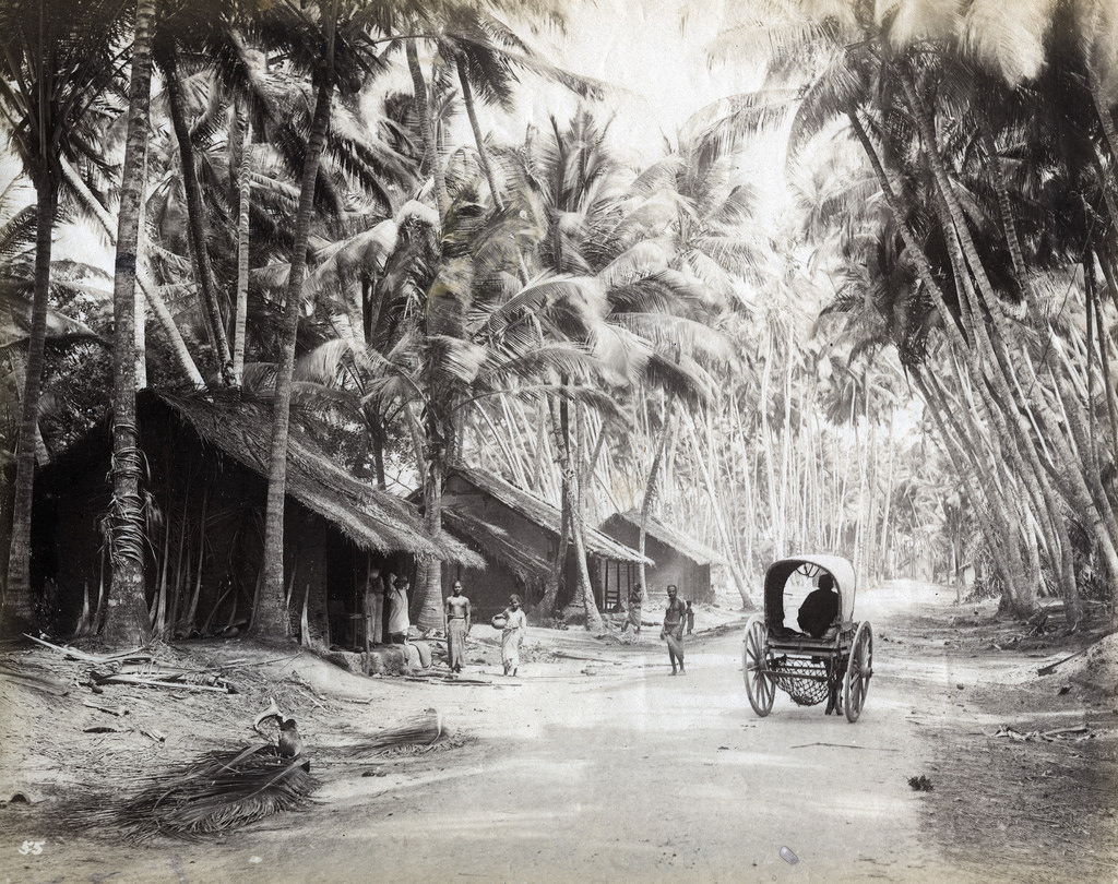 Country road, Colombo, Sri Lanka, 1880s