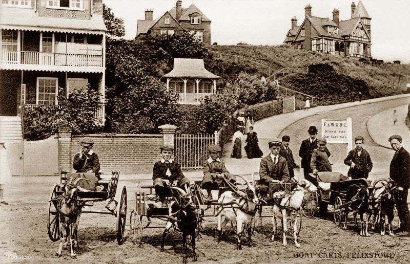 Goat carts, Felixstowe, Suffolk