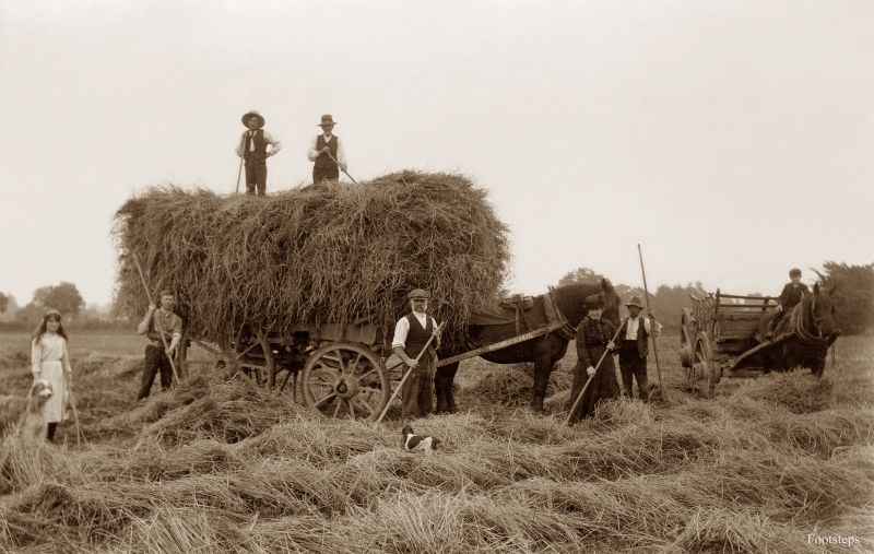 Harvesting at Whitehouse Farm, Harleston near Stowmarket, Suffolk