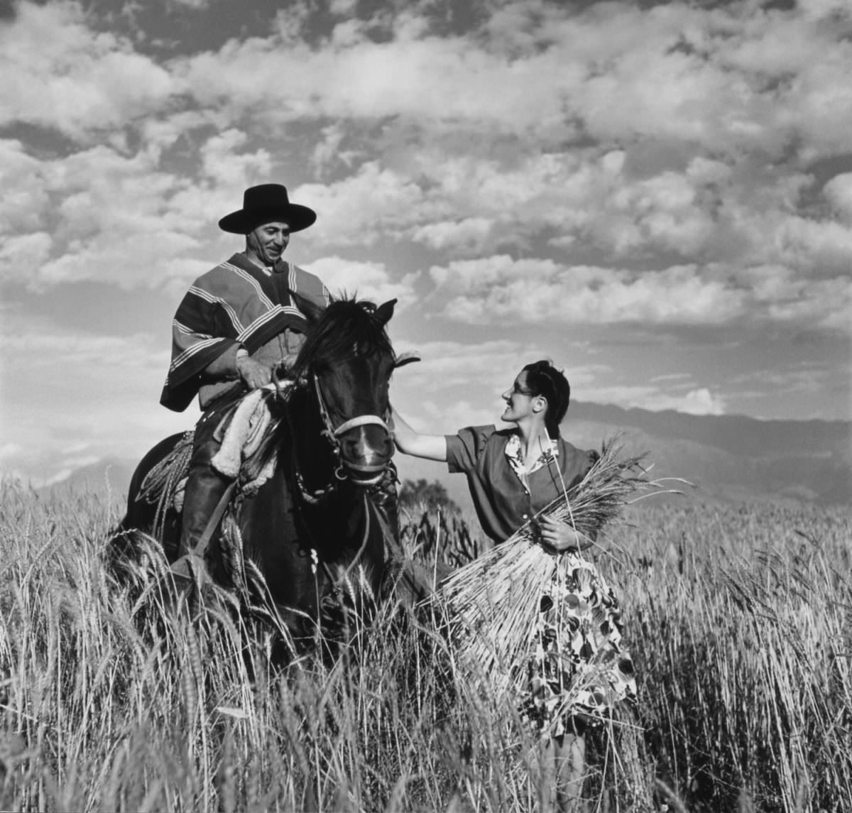 Señora Maria Vial de Prieto petting gaucho’s horse ‘Prique’ in a wheat field in Chile.