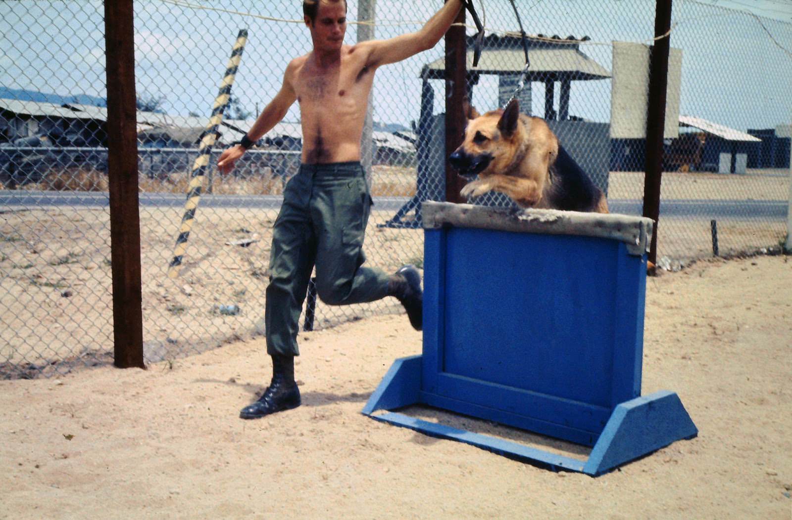 Brian Mowatt and his sentry dog, Prince, running the exercise course at the Army sentry dog kennels. Nha Trang, Vietnam.