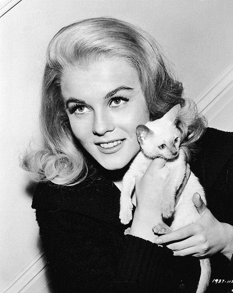 Ann-Margret holding a Siamese kitten for the film, 'Kitten With a Whip,' 1964.