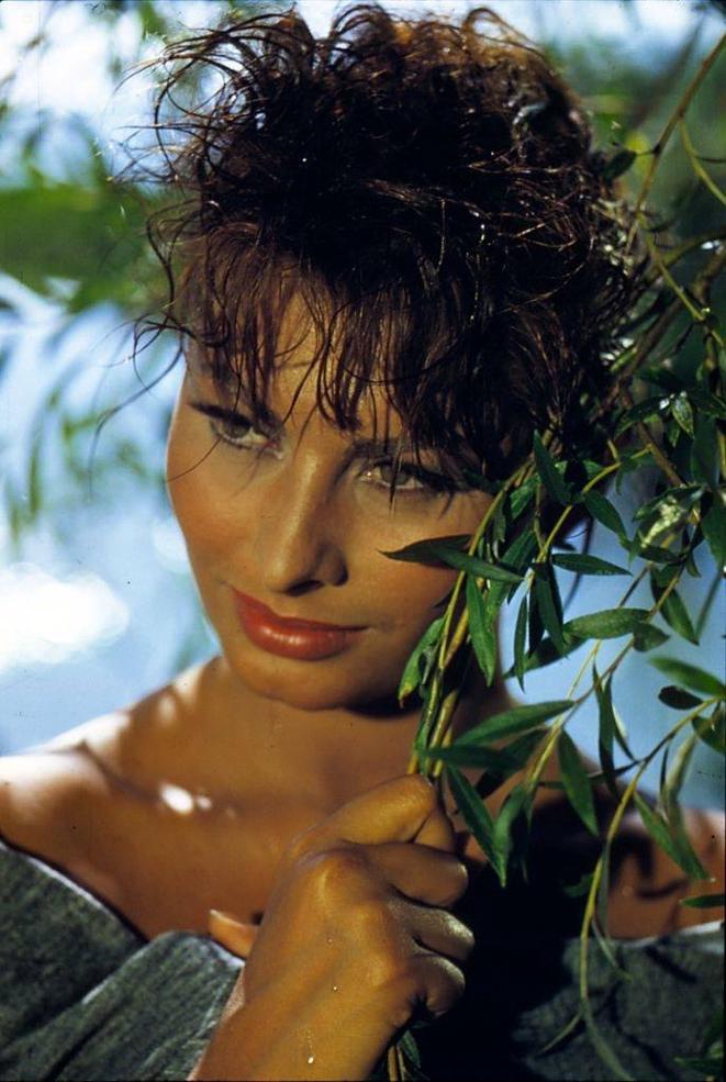 Sophia Loren as she appears in the United Artists production of 'The Pride and The Passion', 1956.