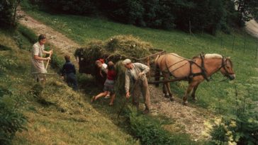 1950s Norway