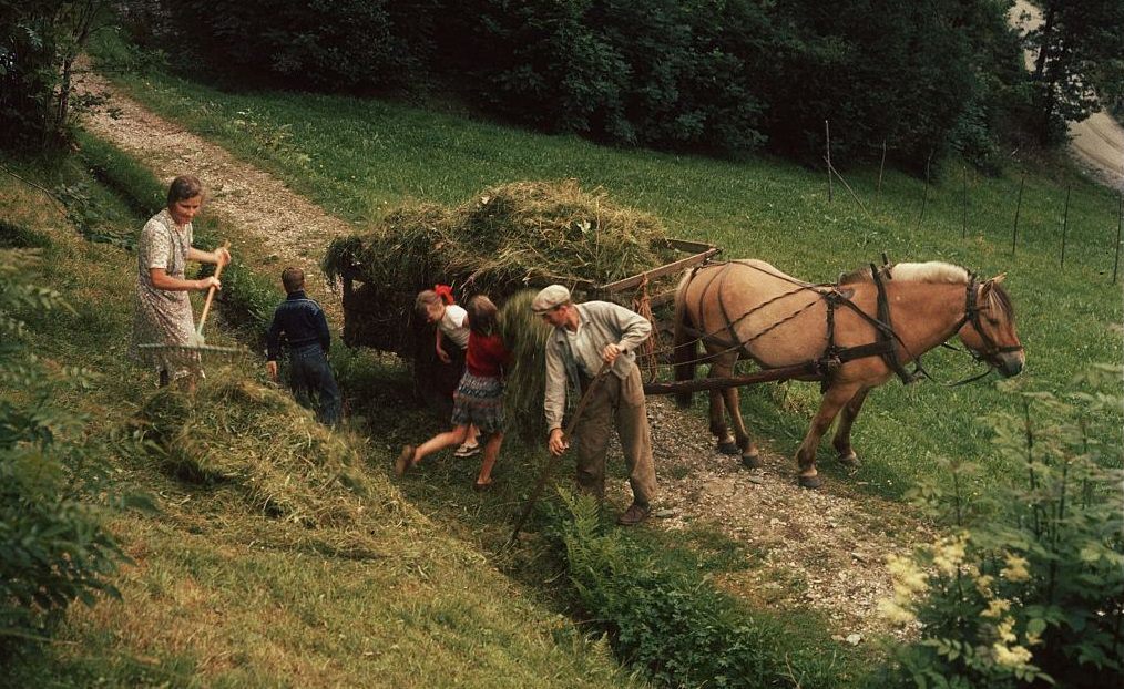 1950s Norway
