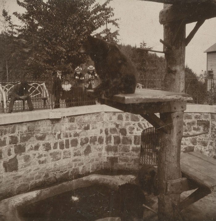 The “Bear Pit” at the Oregon Zoo, 1900.