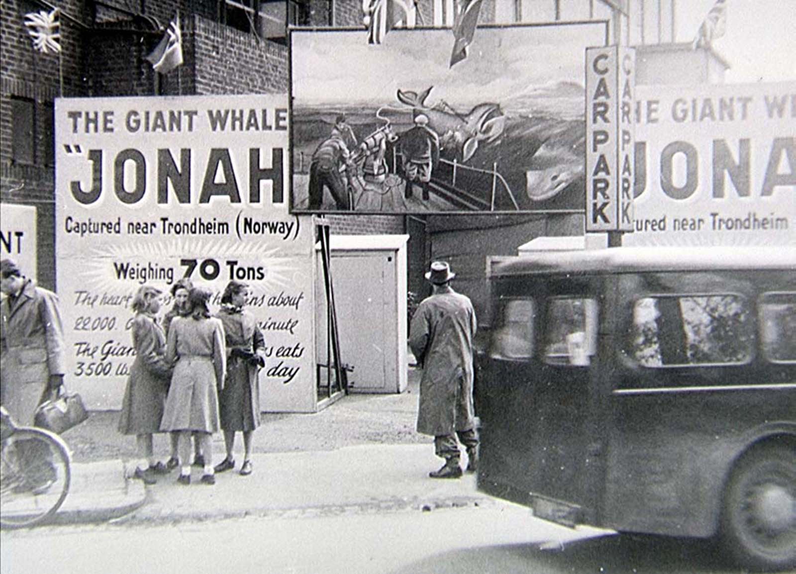 The Giant Whale Jonah”. 1950s.