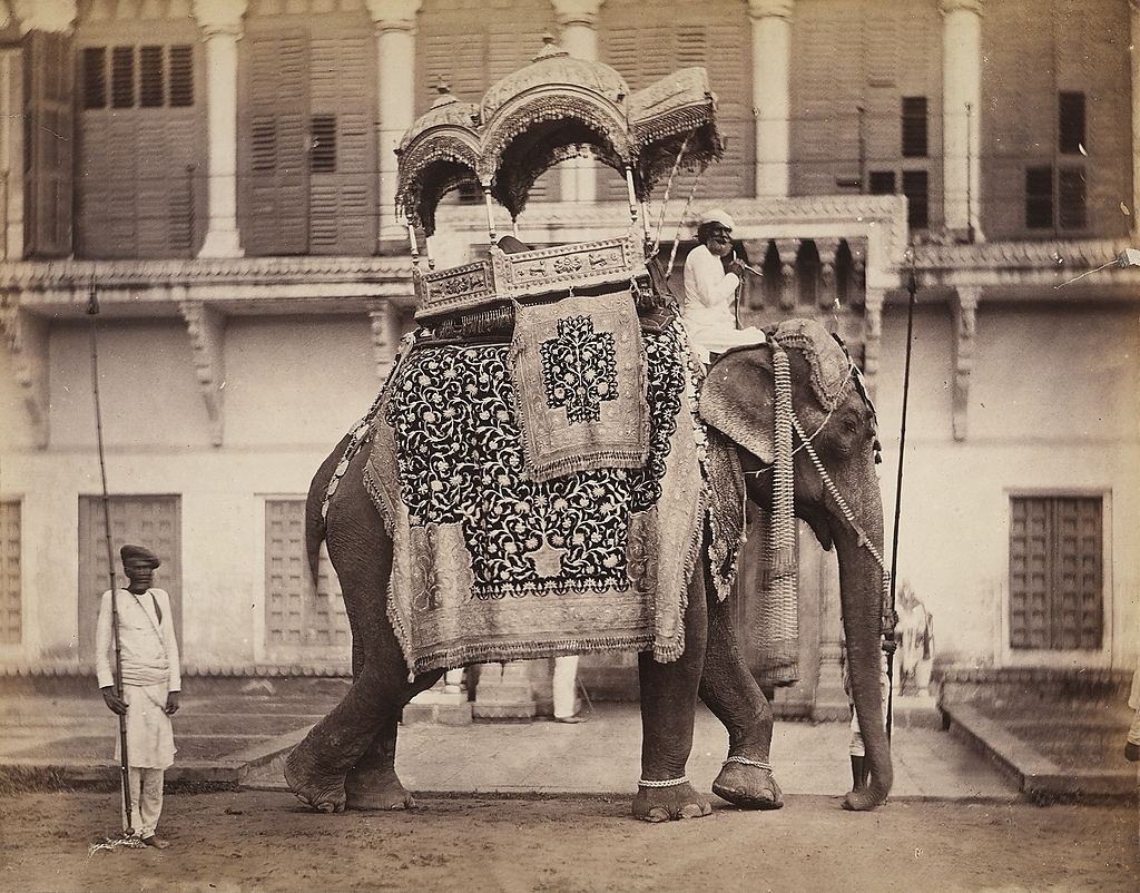 A barded elephant from the Benares (Varanasi) region, 1870s.
