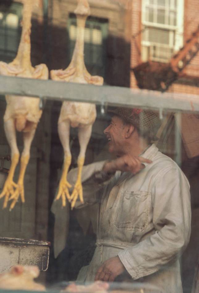 Reataurant, Mott Haven, Bronx, 1970