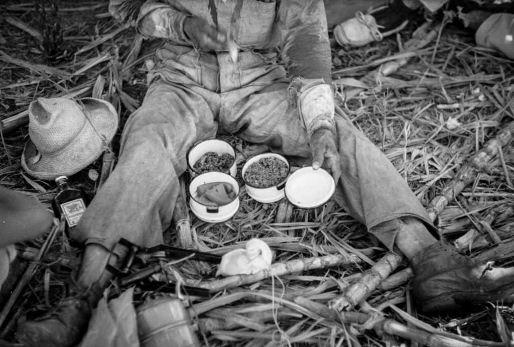 A worker on a sugar plantation pauses for a lunch of rice, beans, and papaya.
