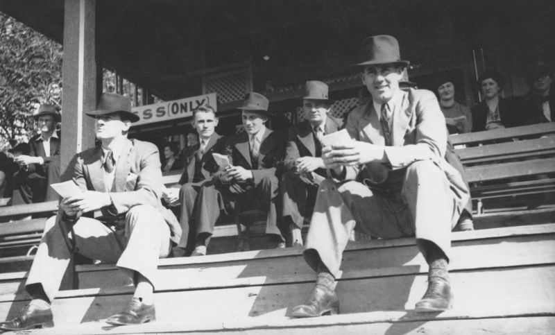 Men sitting in the stands at the races, Queensland