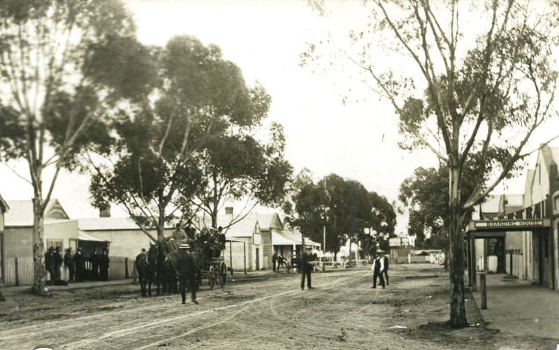 Freeling to Adelaide coach, Adelaide, 1909