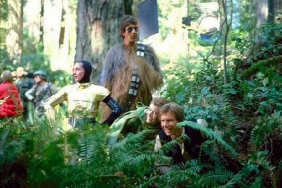 The cast and crew take a moment in the bushes.