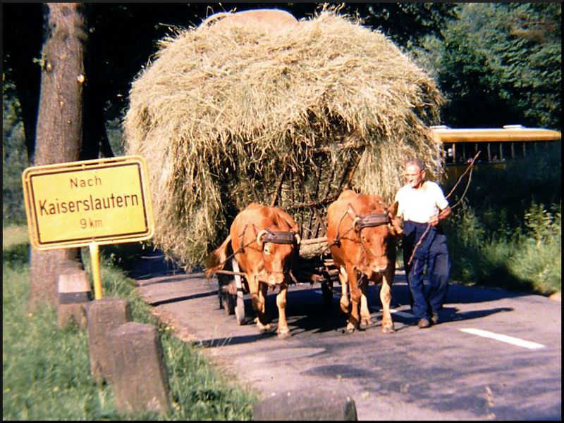 Entering Stelzenberg, 1960s