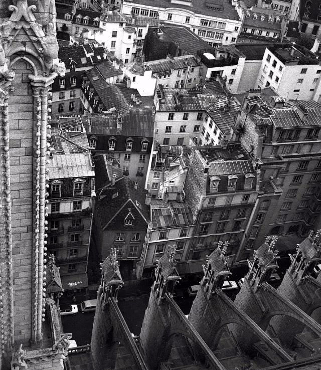 View from atop Notre Dame, Paris, 1971