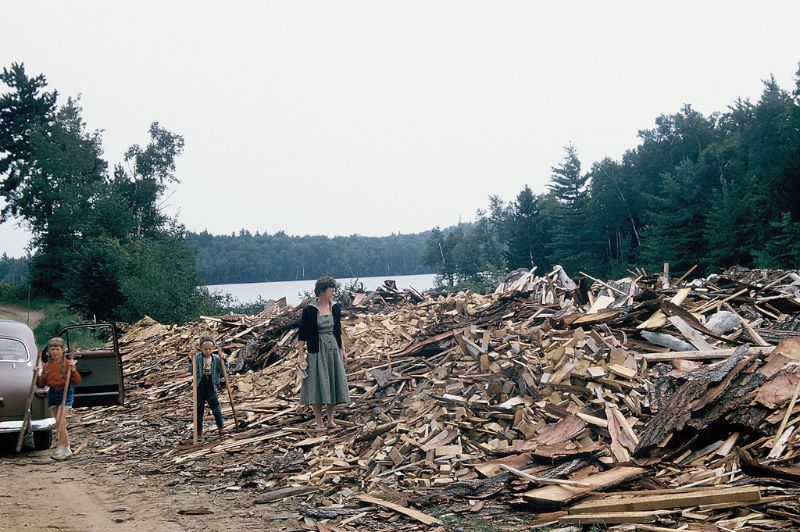Pile of firewood, Adirondacks, New York. November 1955